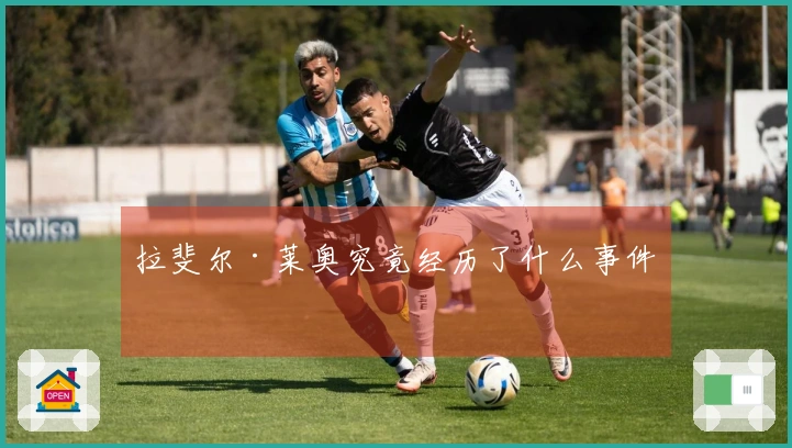 拉斐尔·莱奥究竟经历了什么事件？