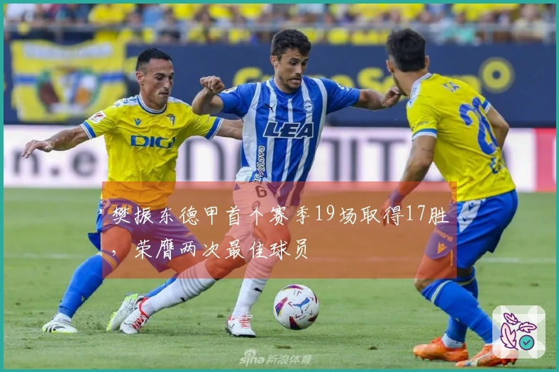 樊振东德甲首个赛季19场取得17胜，荣膺两次最佳球员