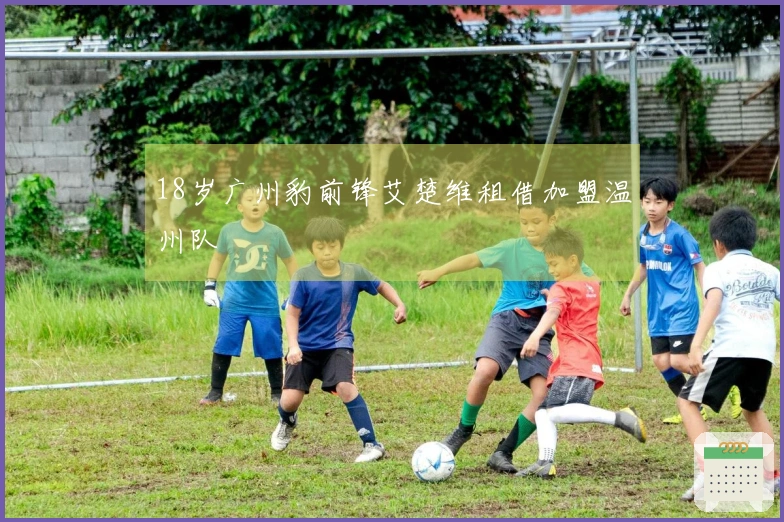 18岁广州豹前锋艾楚维租借加盟温州队