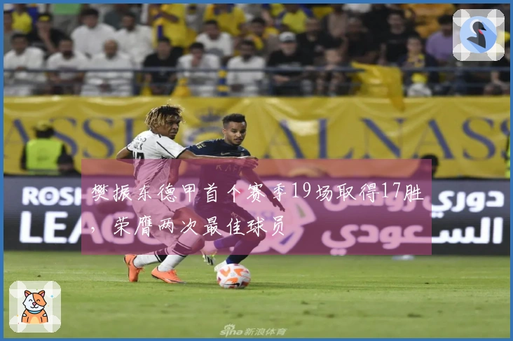 樊振东德甲首个赛季19场取得17胜，荣膺两次最佳球员