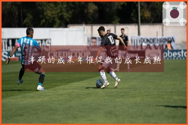 丰硕的成果年催促我的成长成熟