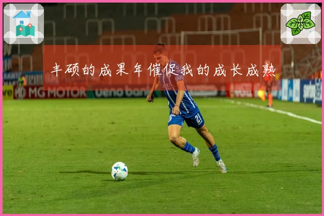 丰硕的成果年催促我的成长成熟